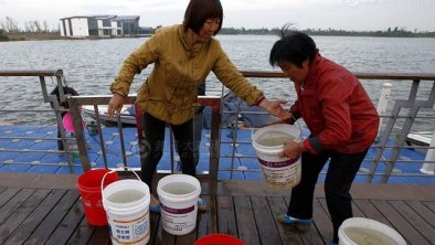 靖江停水事件