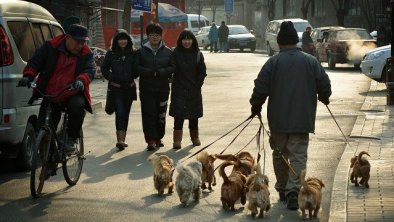 中国离中产社会还有很远