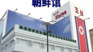 神秘的“天堂”：走进世博会朝鲜馆